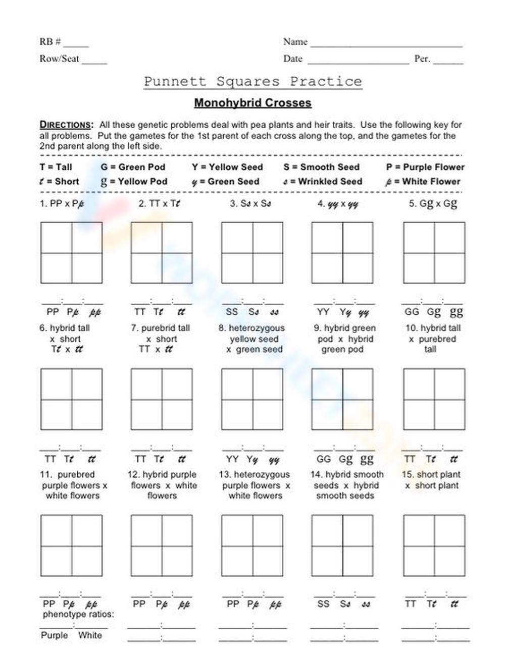 Printable 11th Grade Monohybrid Cross Worksheets