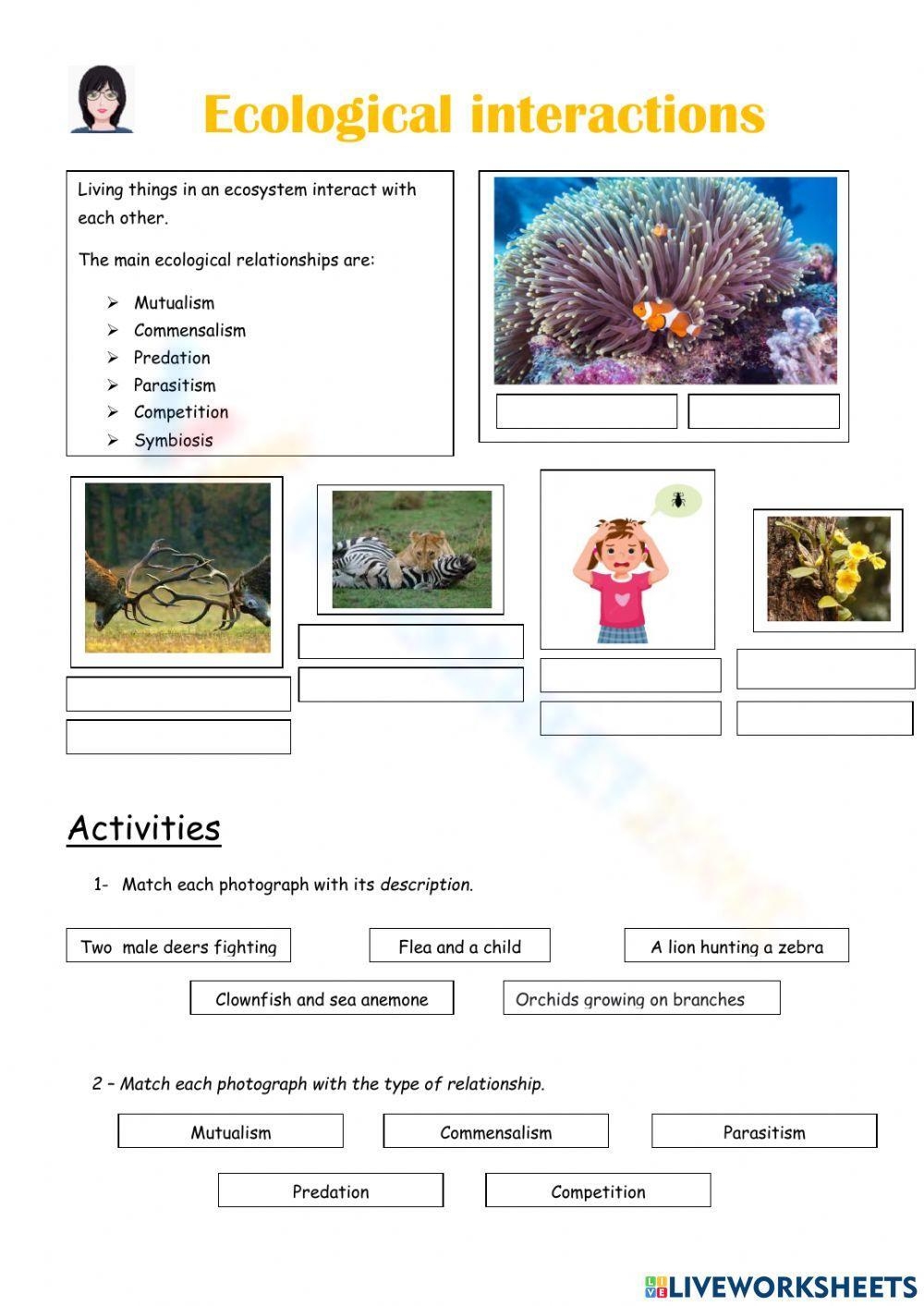 Printable 12th Grade Ecological Relationships Worksheets