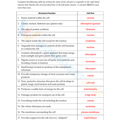 Printable 6th Grade Cell Organelles Worksheets