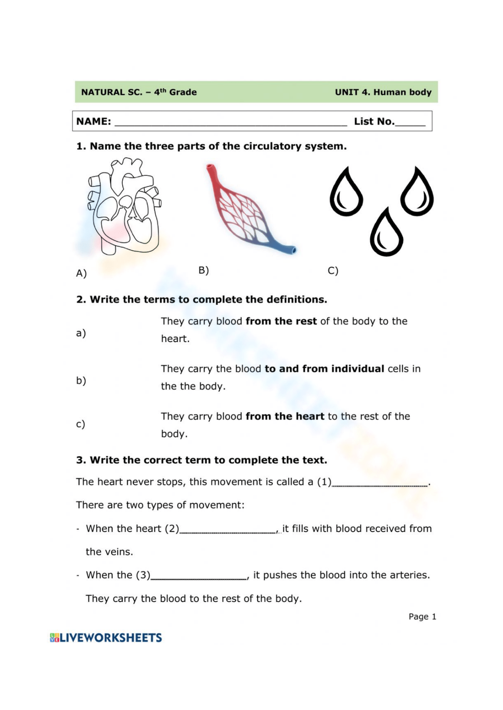 Printable 8th Grade Circulatory System Worksheets Printable 8th Grade Circulatory System Worksheets