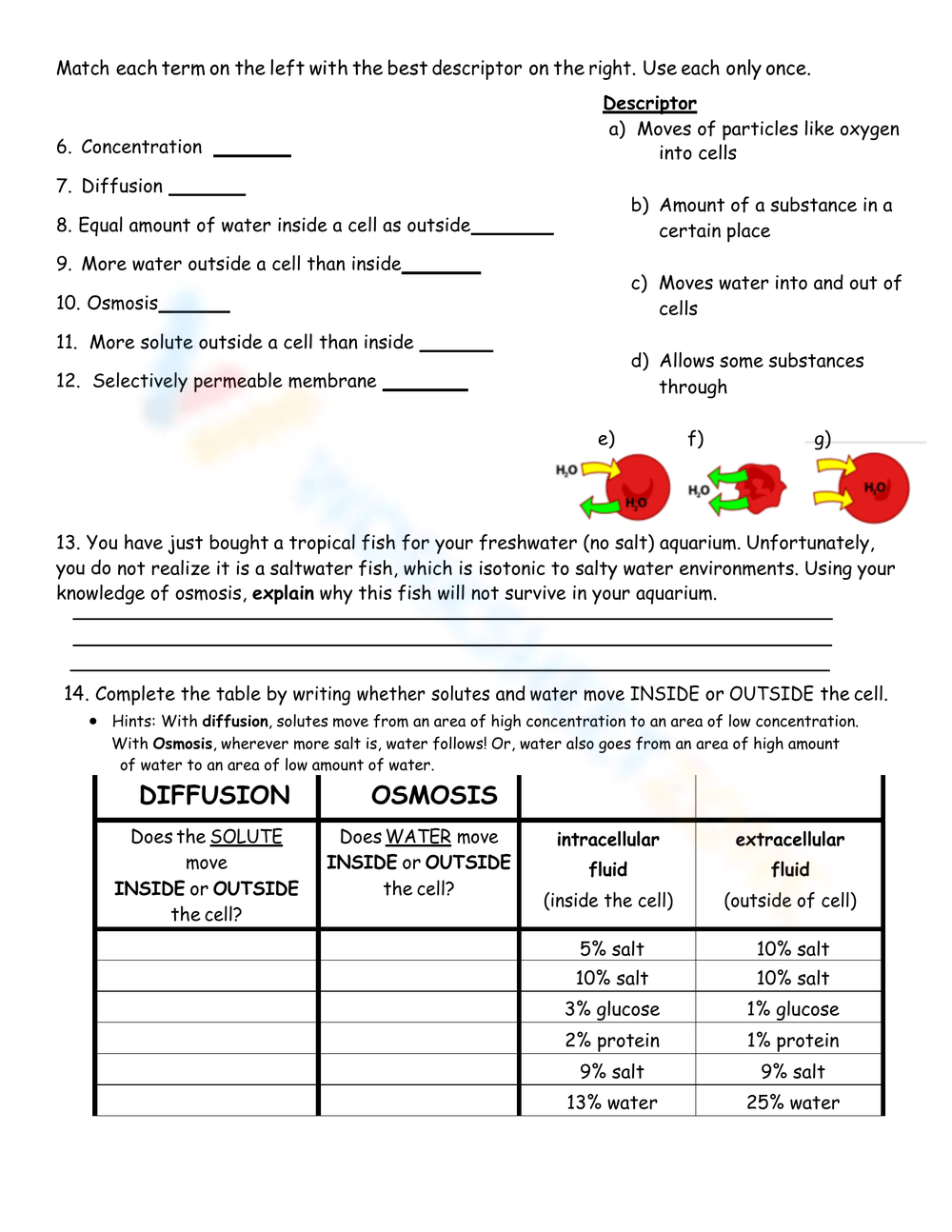 Printable 8th Grade Diffusion And Osmosis Worksheets Printable 8th Grade Diffusion And Osmosis Worksheets