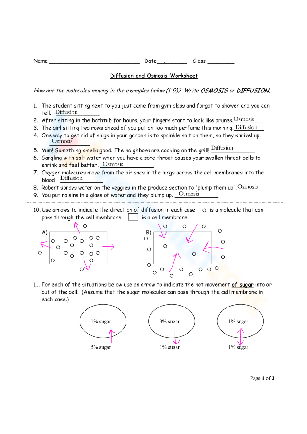 Printable 8th Grade Diffusion And Osmosis Worksheets