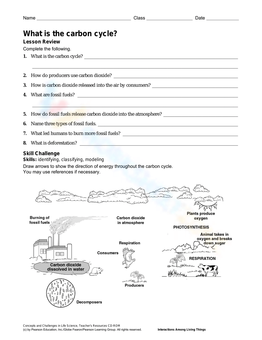 the carbon cycle worksheet answer key