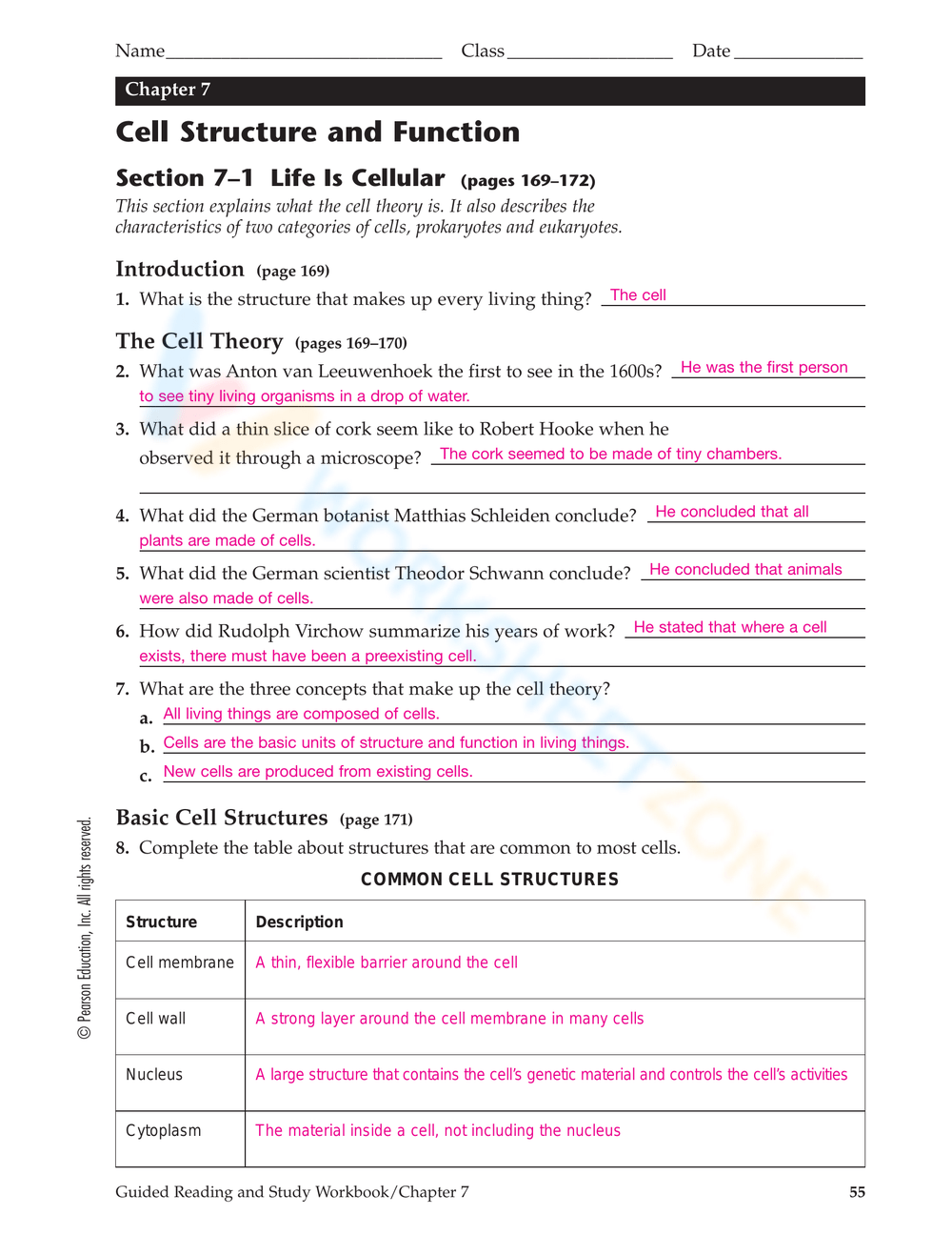 Printable 9th Grade Cell Structure And Function Worksheets