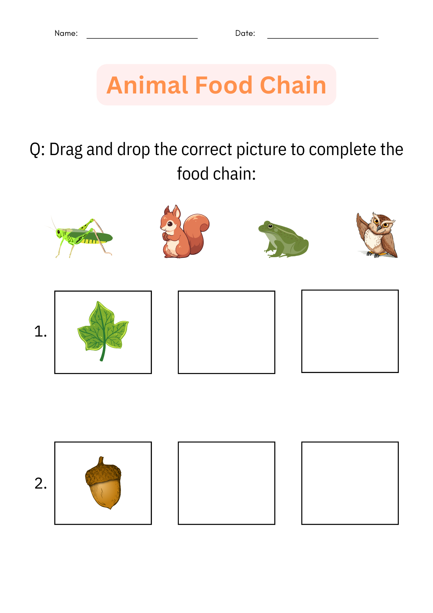 food chain worksheet pdf food chain worksheet pdf