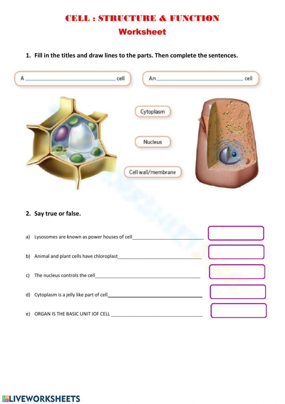 Printable Cell Structure And Function Worksheets Download