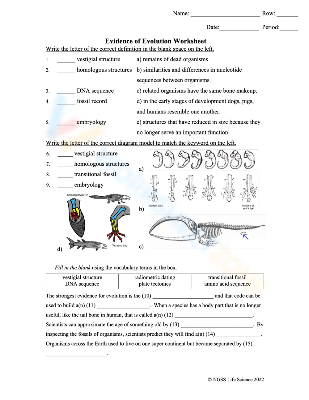 Printable Evidence Of Evolution Worksheets Printable Evidence Of Evolution Worksheets