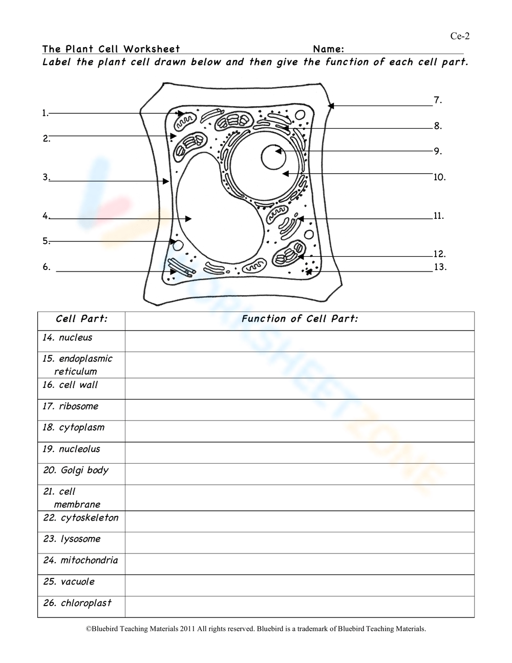 Printable Plant Cells Worksheets