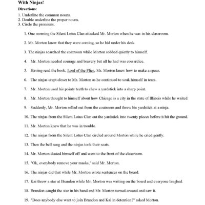 Proper Nouns Common Nouns And Pronouns Worksheet With Ninjas Parts Of Speech Activity