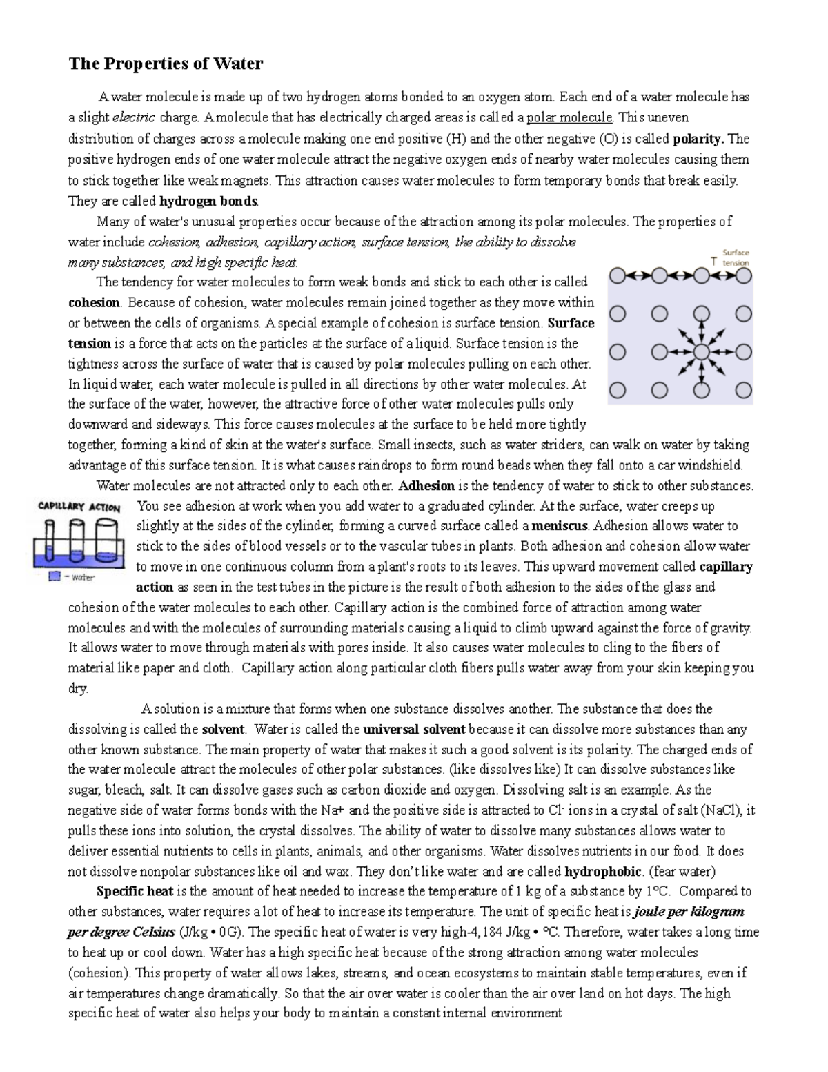 Properties Of Water Worksheet Key Concepts Definitions Studocu