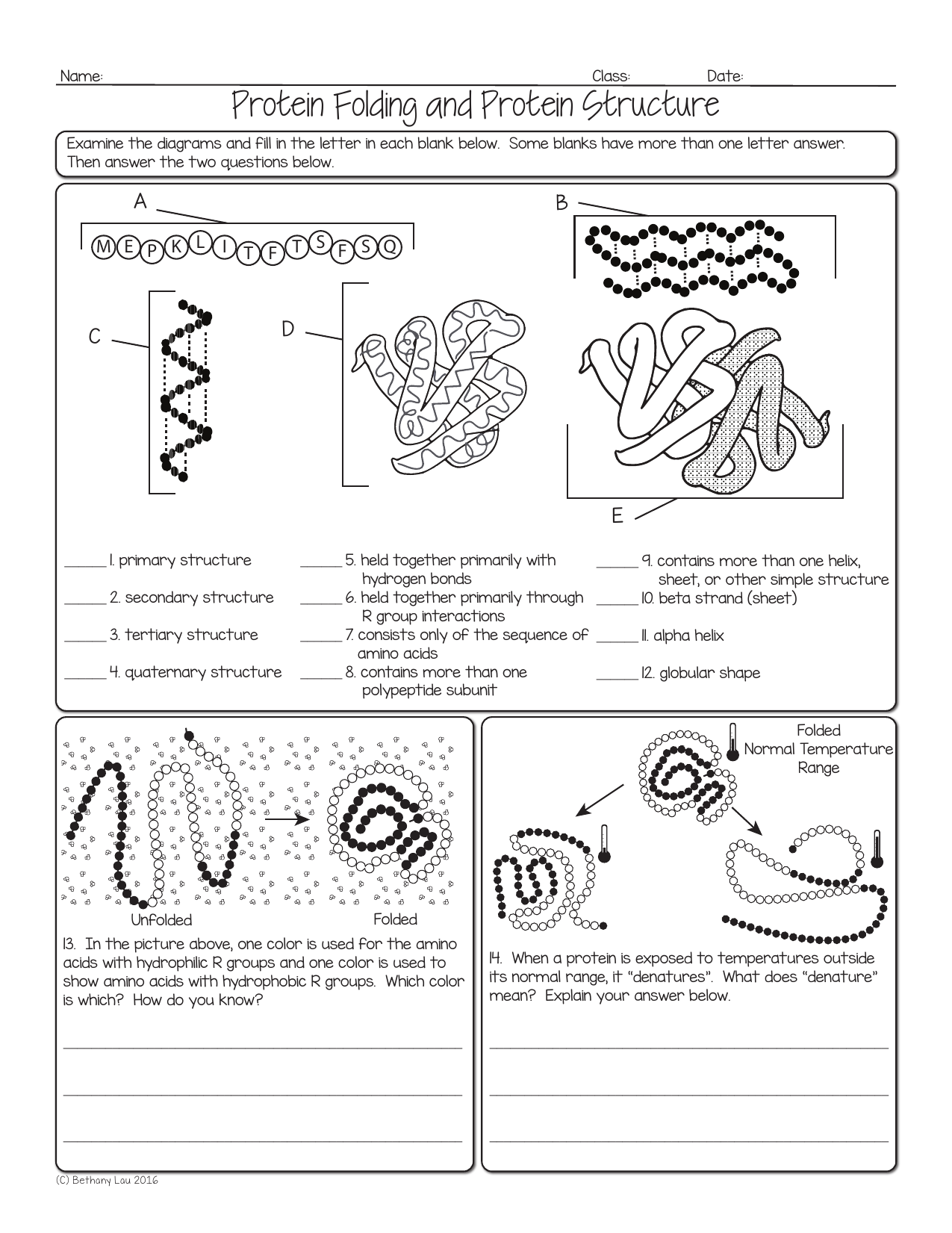 Protein Folding Structure Worksheet Biology