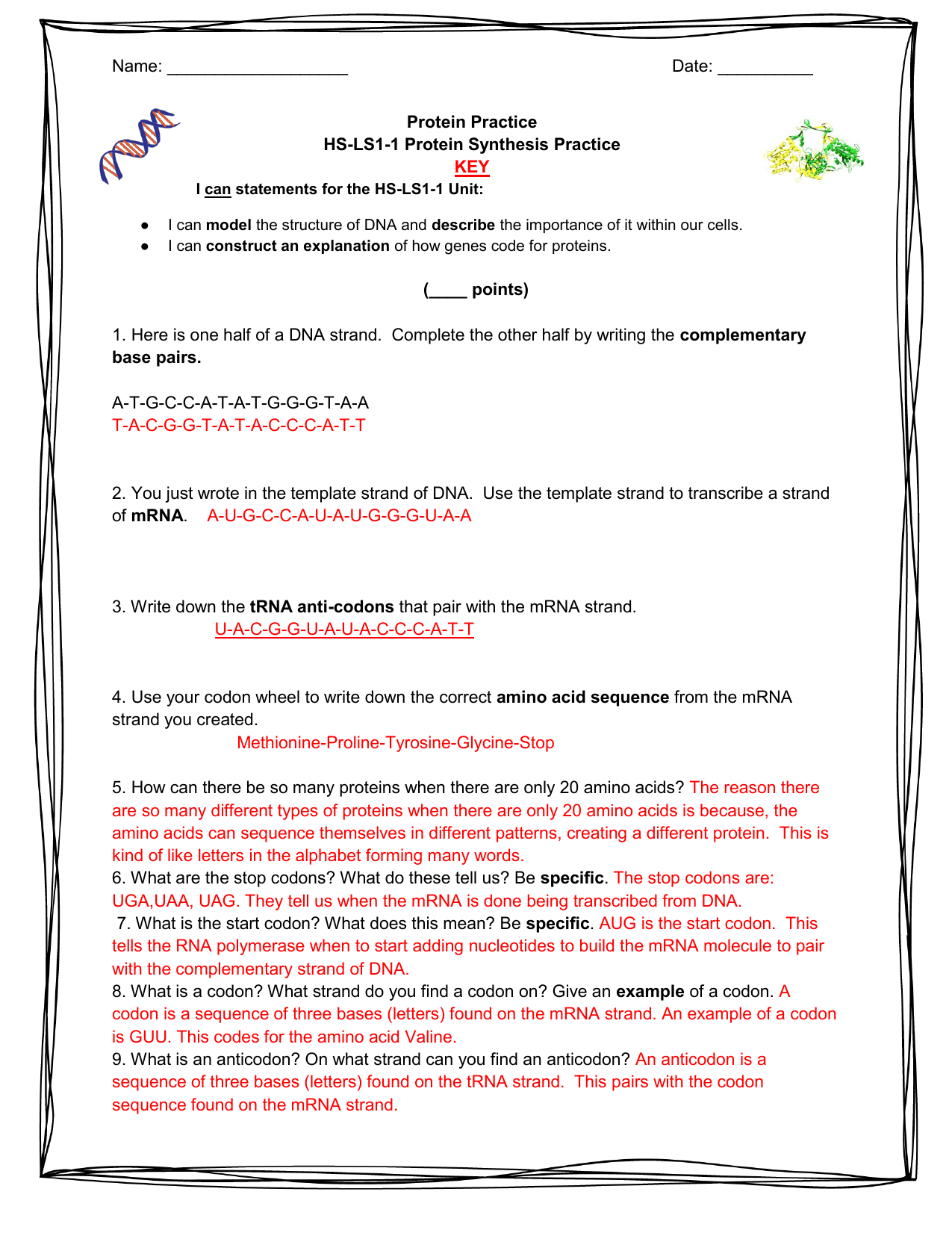 Protein Synthesis Practice Worksheet HS LS1 1