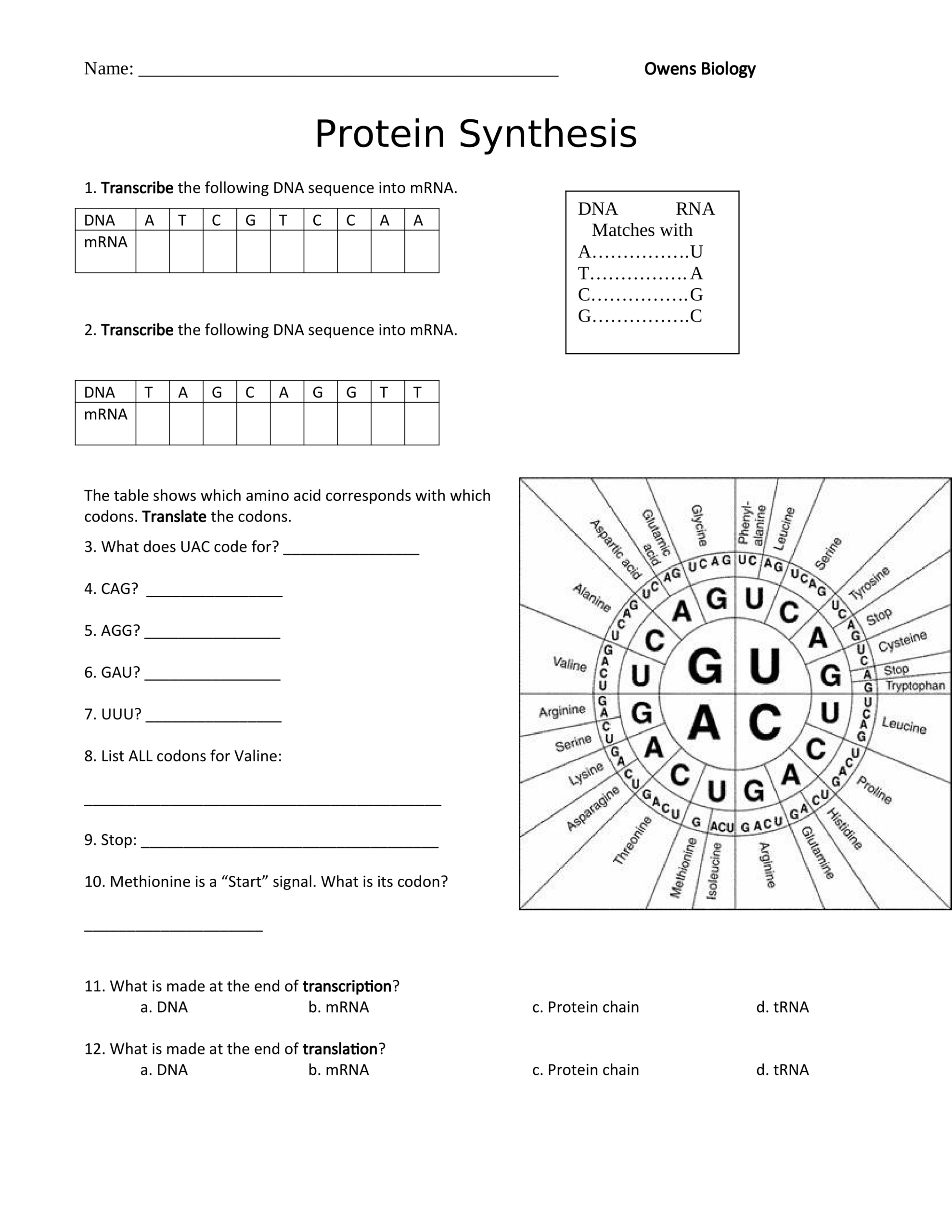 Protein Synthesis Worksheet Cancer Katelyn Owens Library Formative Protein Synthesis Worksheet Cancer Katelyn Owens Library Formative
