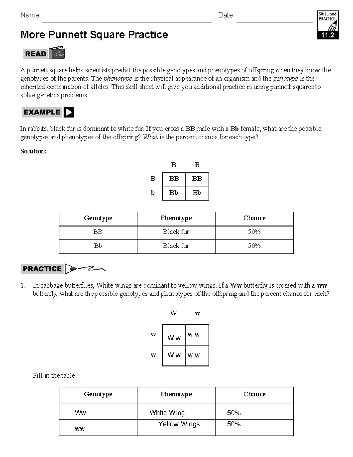 Punnett Square Practice Genetics Problem Set 2021 2022 Studocu