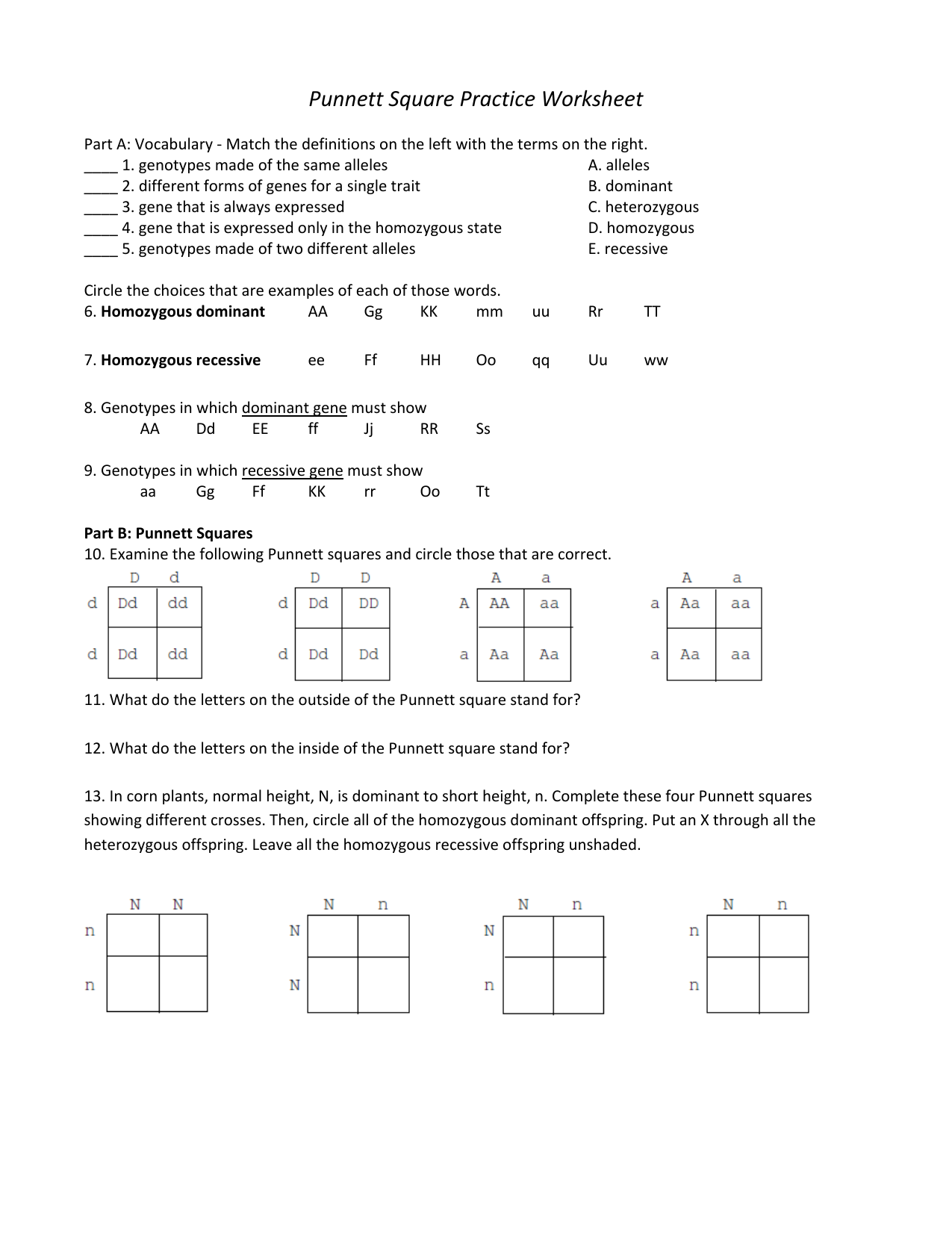 Punnett Square Practice Genetics Worksheet