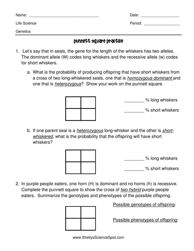 Punnett Square Practice Genetics Worksheet Punnett Square Practice Genetics Worksheet