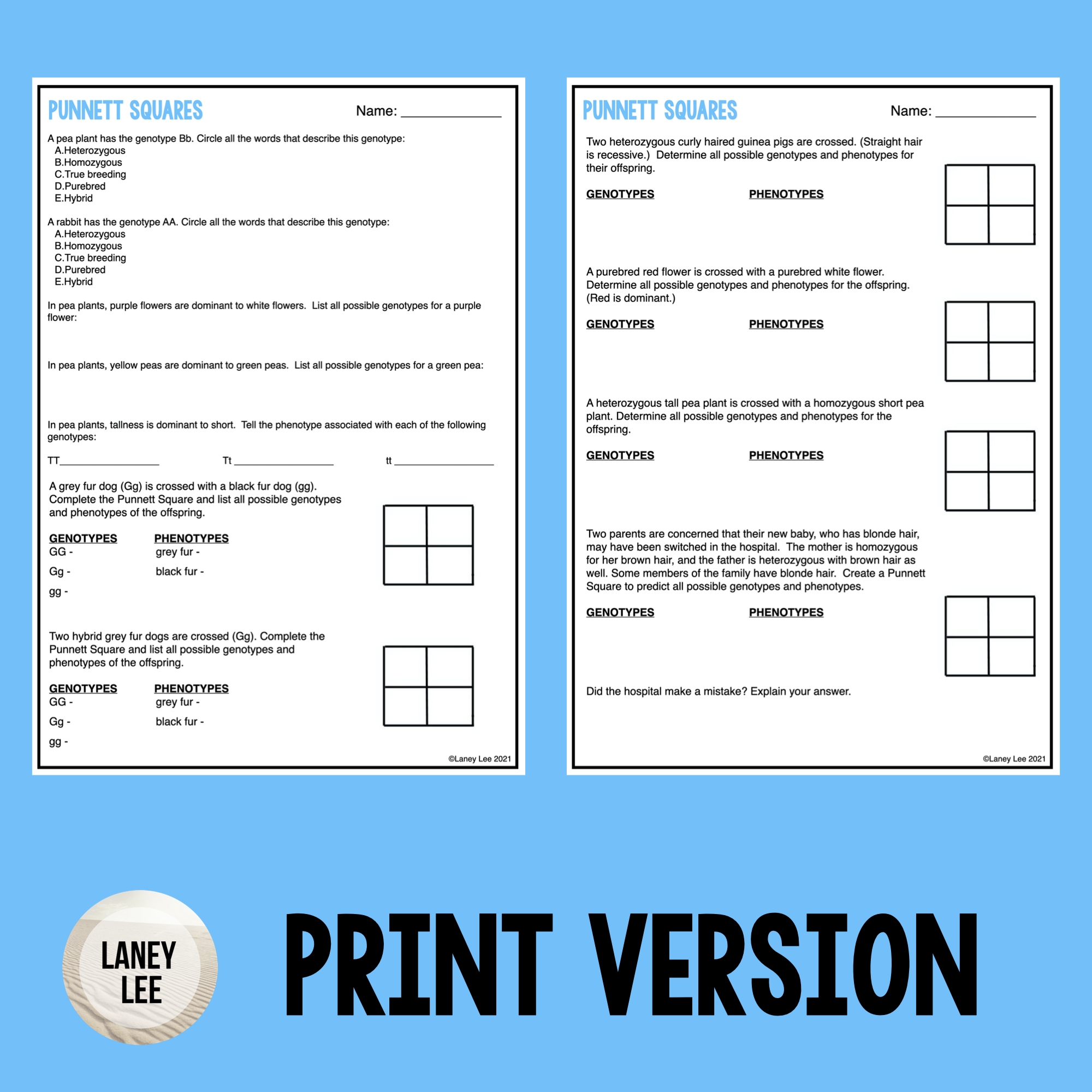 Punnett Square Practice Or Quiz PDF With Answer Key Laney Lee Punnett Square Practice Or Quiz PDF With Answer Key Laney Lee
