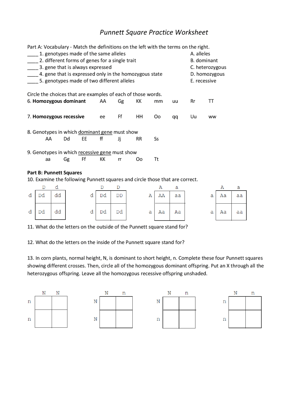 Punnett Square Practice Worksheet Genetics And Inheritance Summaries Genetics Docsity Punnett Square Practice Worksheet Genetics And Inheritance Summaries Genetics Docsity