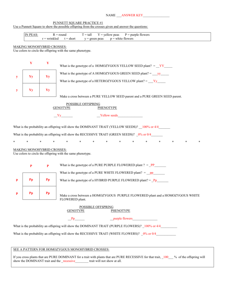 Punnett Square Practice Worksheet Genetics Problems
