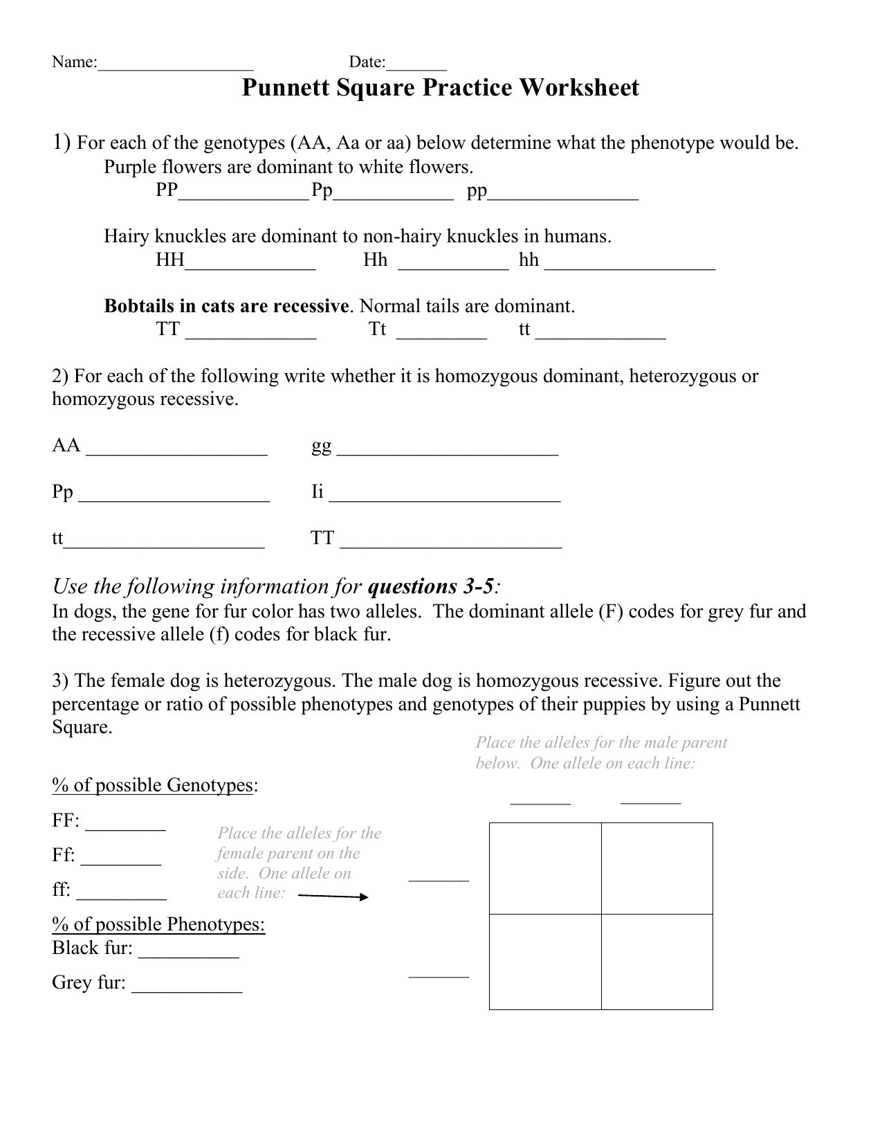 punnett square worksheet with answers pdf punnett square worksheet with answers pdf