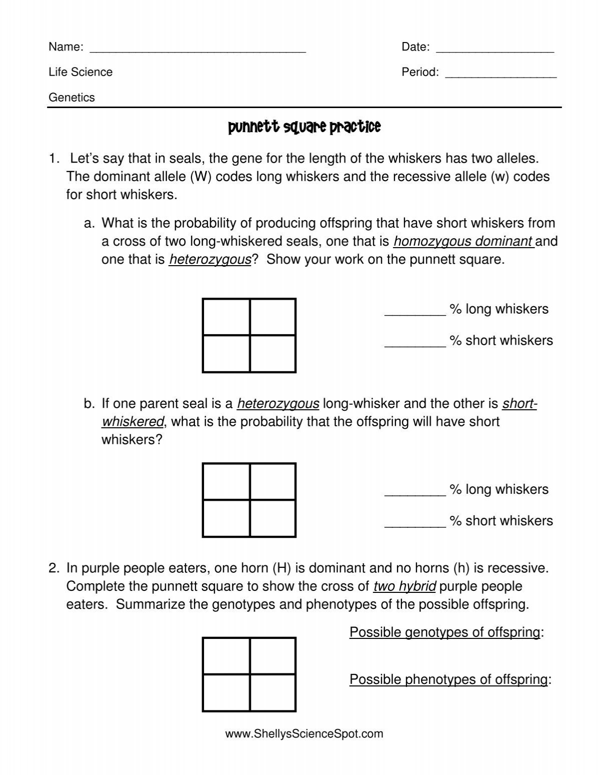 Punnett Square Practice