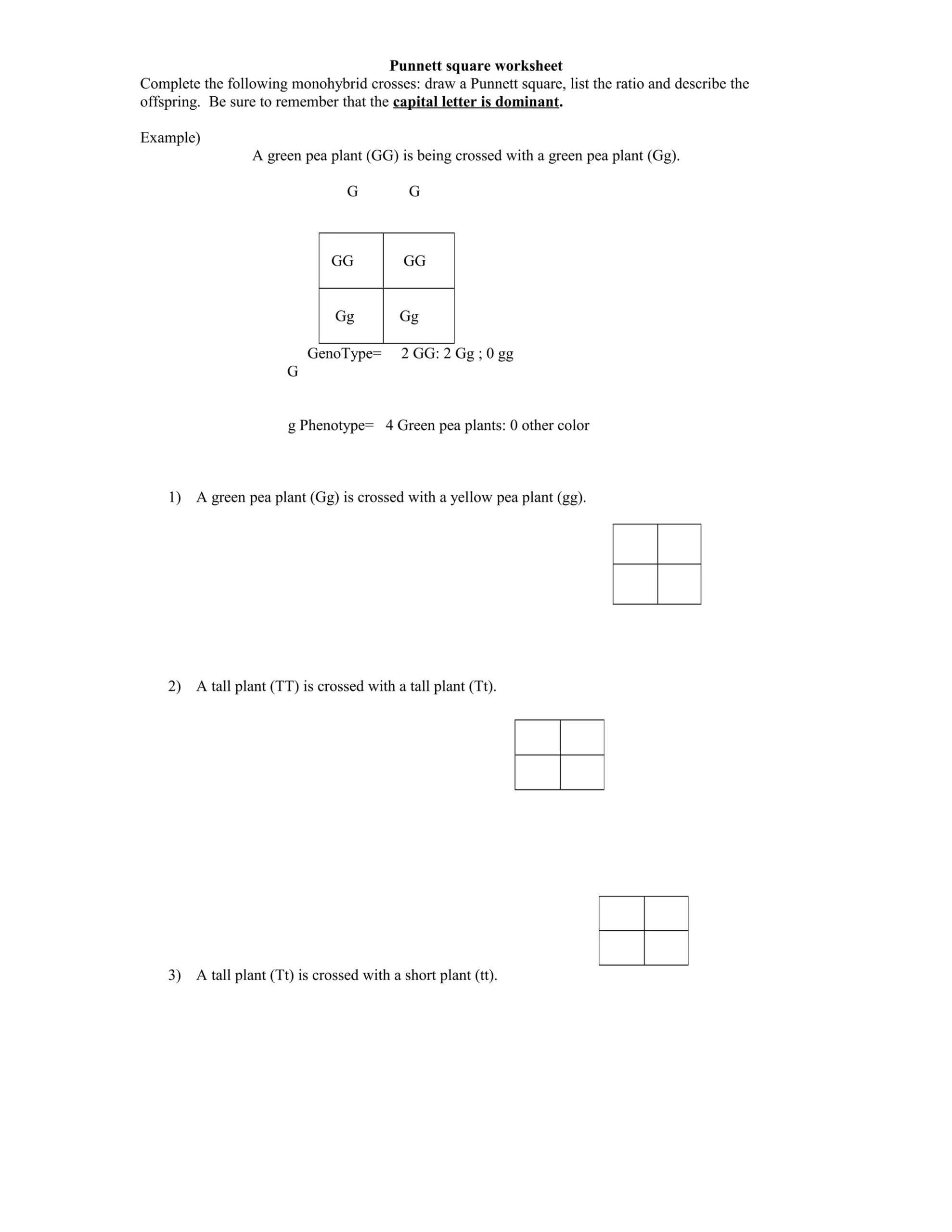 pea plant punnett square worksheet answers pea plant punnett square worksheet answers