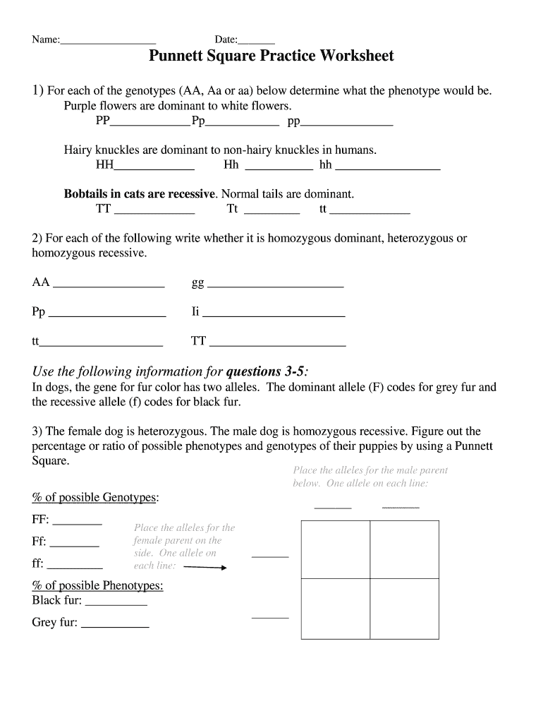 punnett square worksheet and answers punnett square worksheet and answers