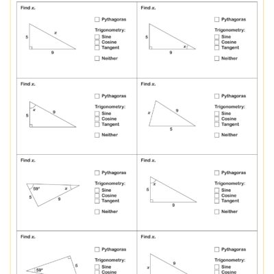 Pythagoras Or Trigonometry B Worksheet Printable PDF For Year 10 And Year 11 Geometry Worksheet