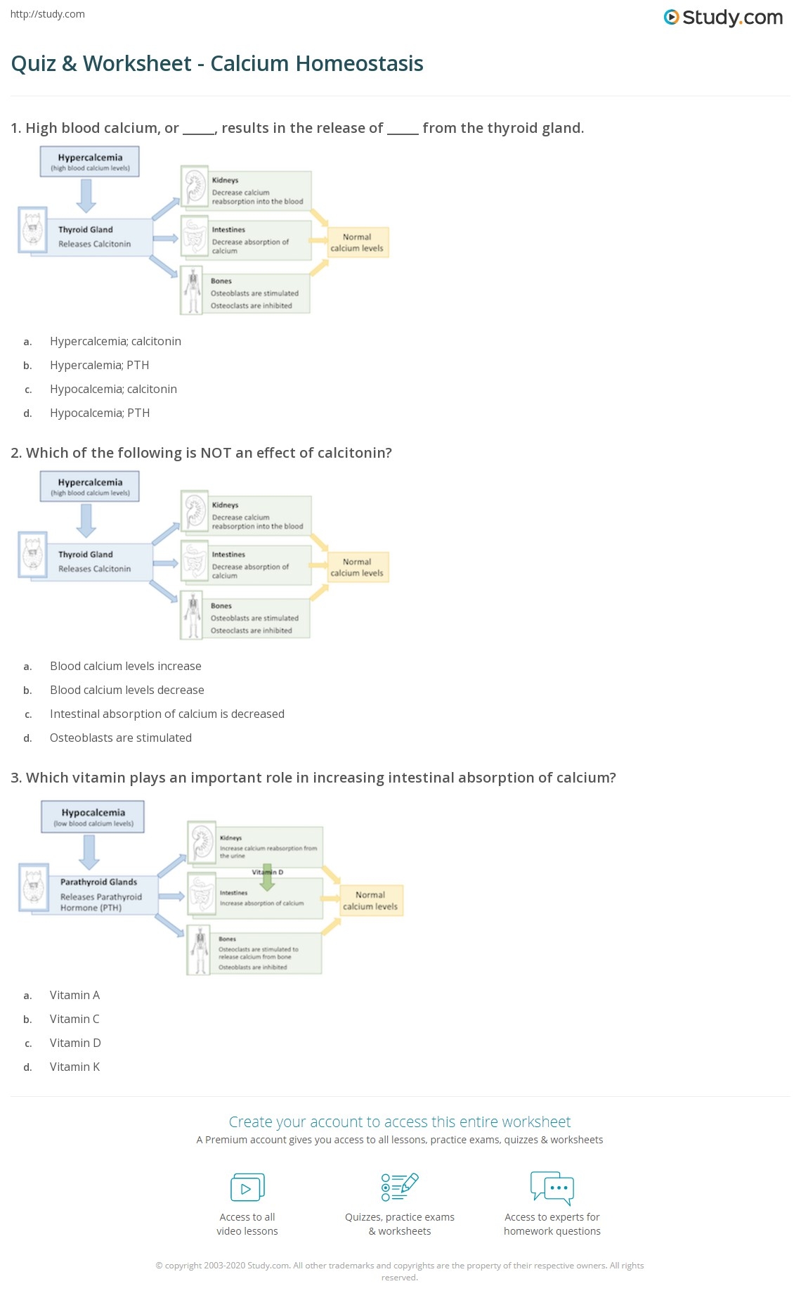 Quiz Worksheet Calcium Homeostasis Study