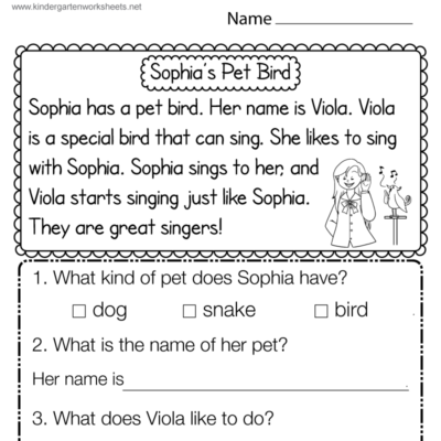 Reading Comprehension Worksheet Free Printable Digital PDF