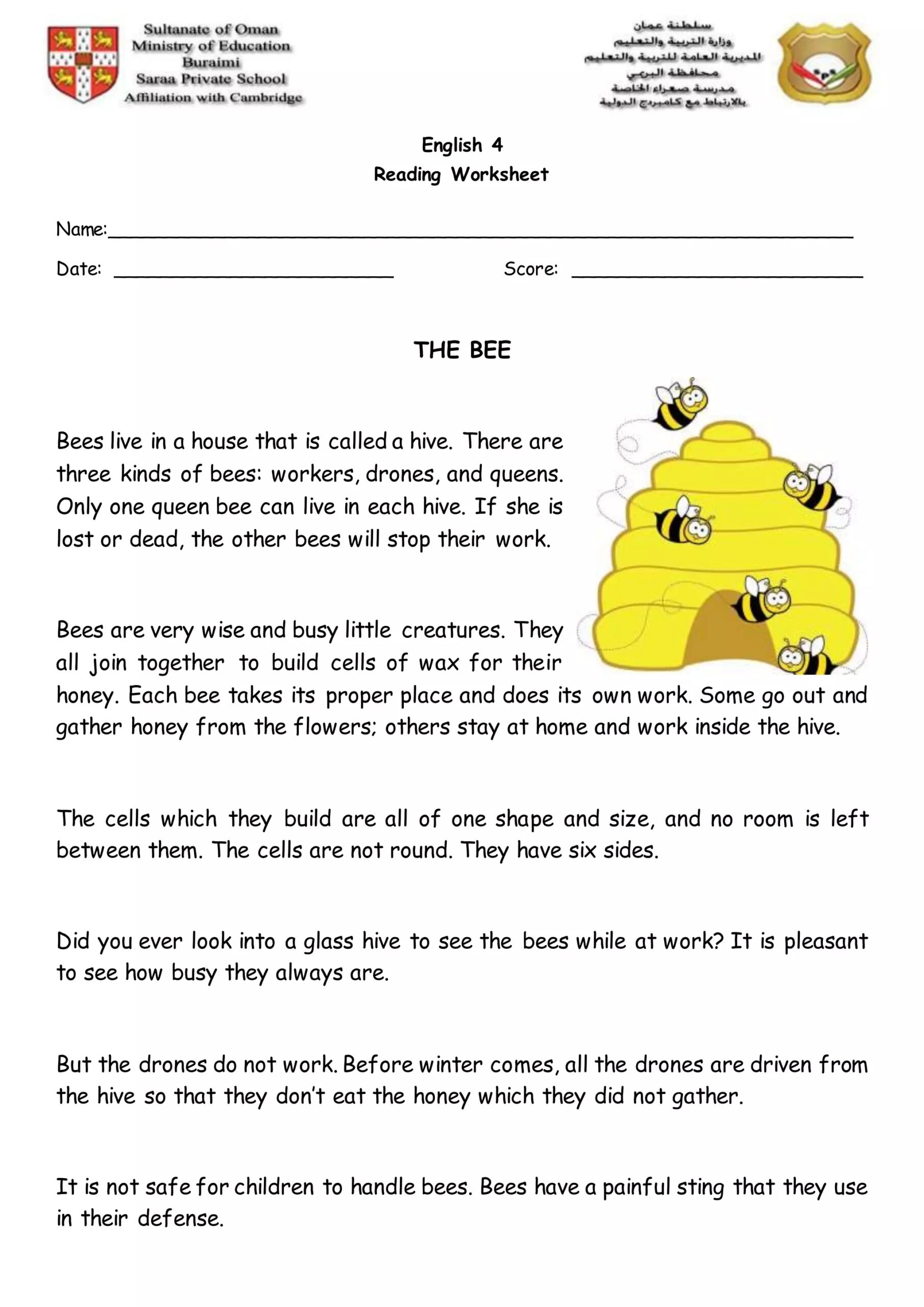 Reading Worksheet The Bee Fortune And The Beggar Achoo DOCX Reading Worksheet The Bee Fortune And The Beggar Achoo DOCX