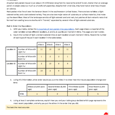Rock Pocket Mouse Biology Assignment Color Variation Natural Selection Studocu
