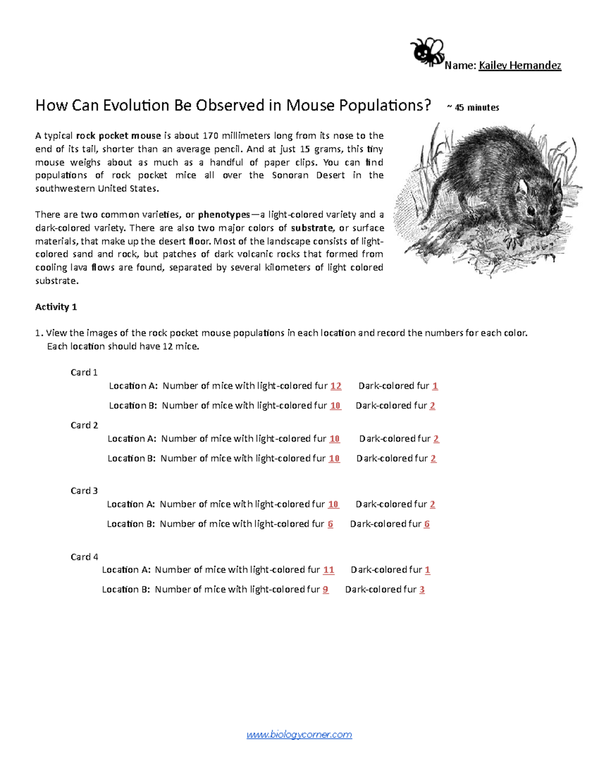 Rock Pocket Mouse Evolution Activity bee Analysis Findings Studocu Rock Pocket Mouse Evolution Activity bee Analysis Findings Studocu