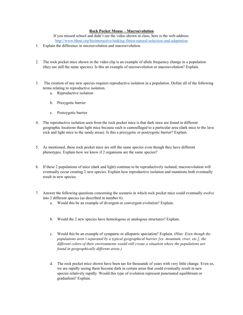 rock pocket mouse worksheet answer key rock pocket mouse worksheet answer key