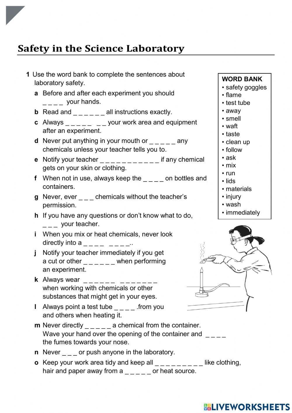 Safety In The Science Laboratory Worksheet Worksheets Library