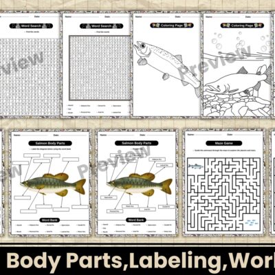 Salmon Body Parts Labeled Diagram Worksheets Word Search Coloring Maze KS1 KS2 Animal Science Activi Teaching Resources