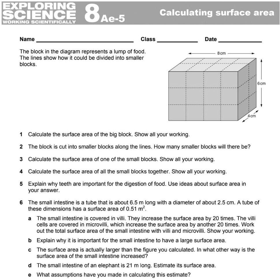 SCIENCE 8 Ae 5 WORKING SCIENTIFICALLY Name Class The Block 