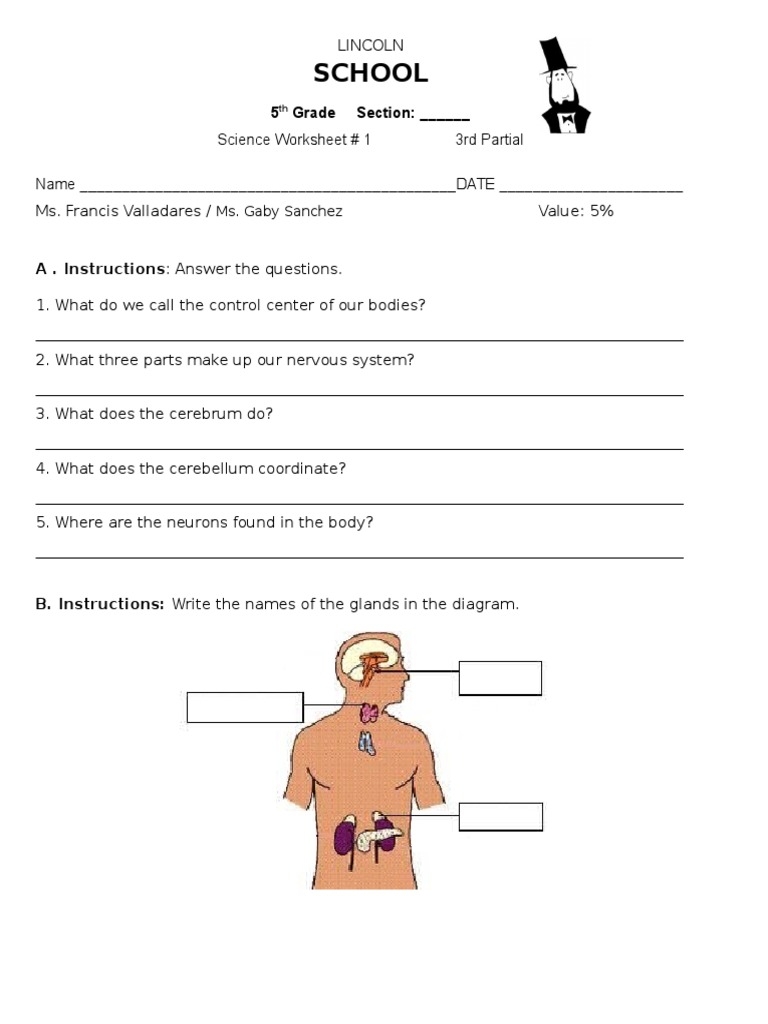 5th grade science worksheets pdf