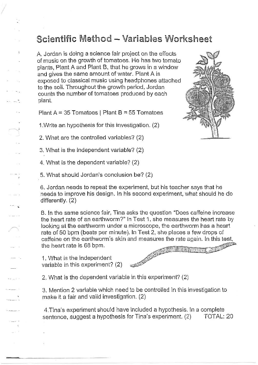 science method worksheet answers