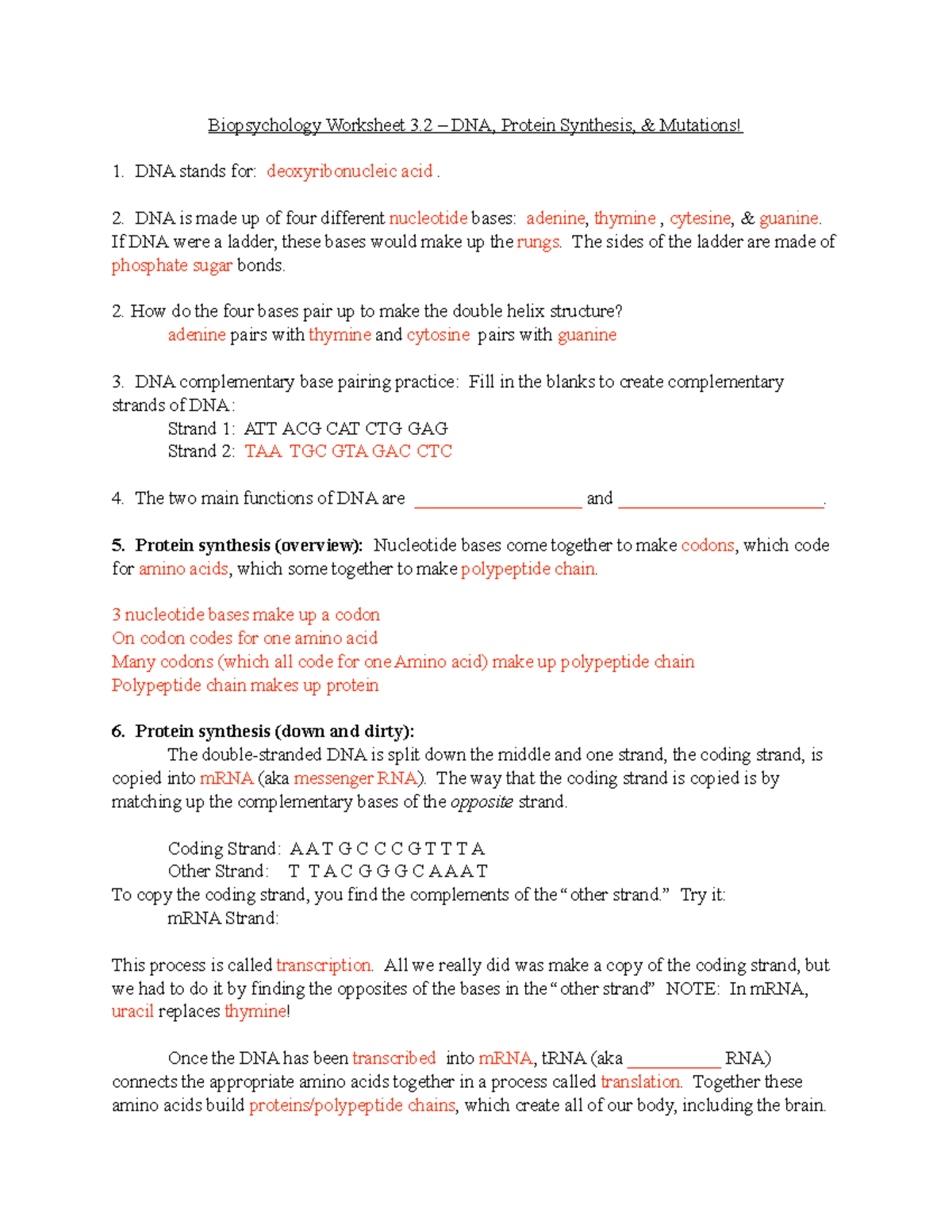 SI 3 2 Worksheet On DNA Protein Synthesis Mutations Overview Studocu