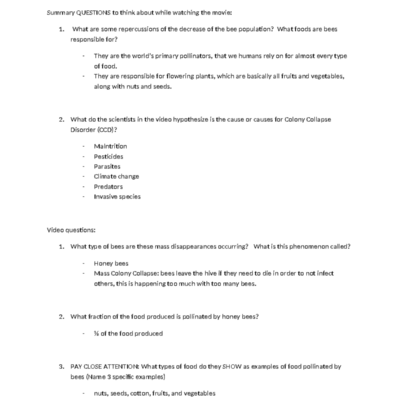 Silence Of The Bees Film Worksheet Key Insights And Questions Studocu