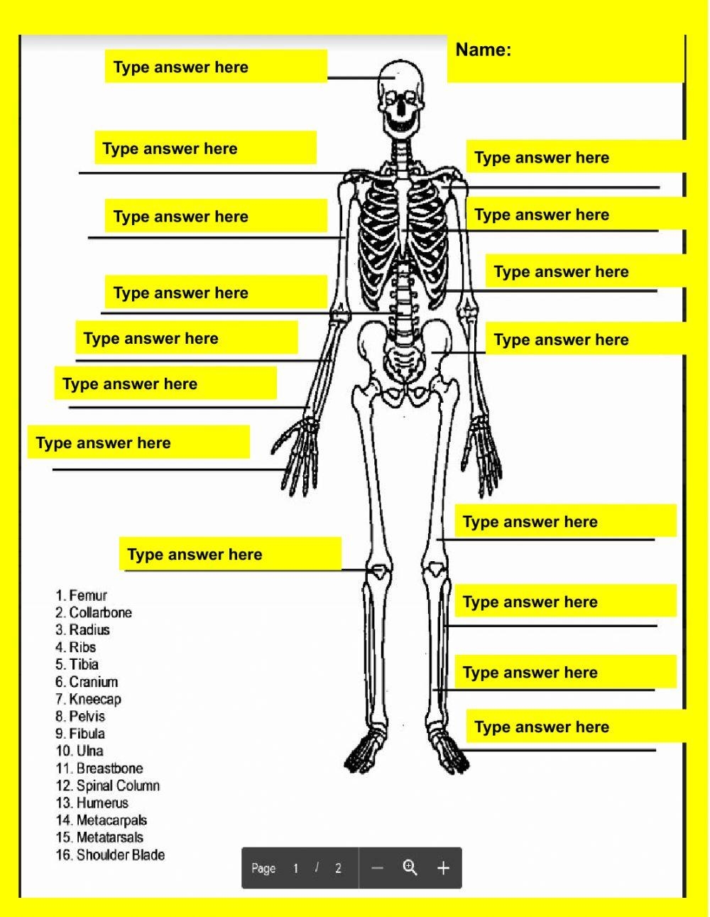 Skeletal System Online Activity For 7 Worksheets Library