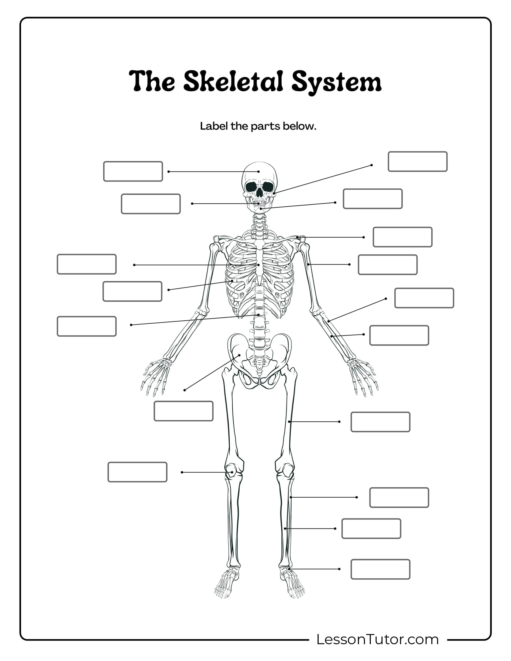 Skeleton System Worksheets Free Coloring Pages PDF Printables And Worksheets Lesson Tutor Skeleton System Worksheets Free Coloring Pages PDF Printables And Worksheets Lesson Tutor