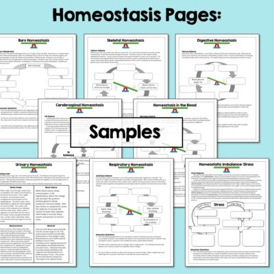Skills Extensions For Anatomy Lessons Suburban Science