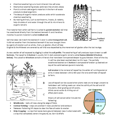 Soil Formation Worksheet Questions And Concepts Overview Studocu