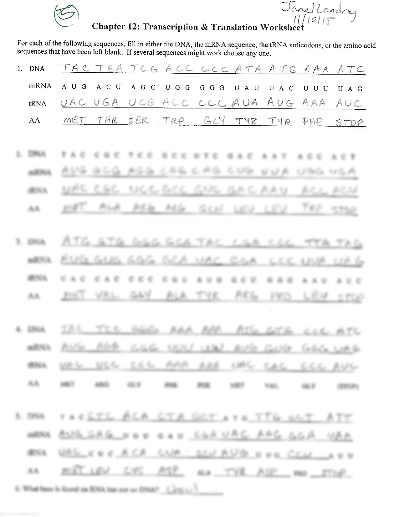 SOLUTION Biology Transcription Translation Worksheet Studypool Worksheets Library SOLUTION Biology Transcription Translation Worksheet Studypool Worksheets Library