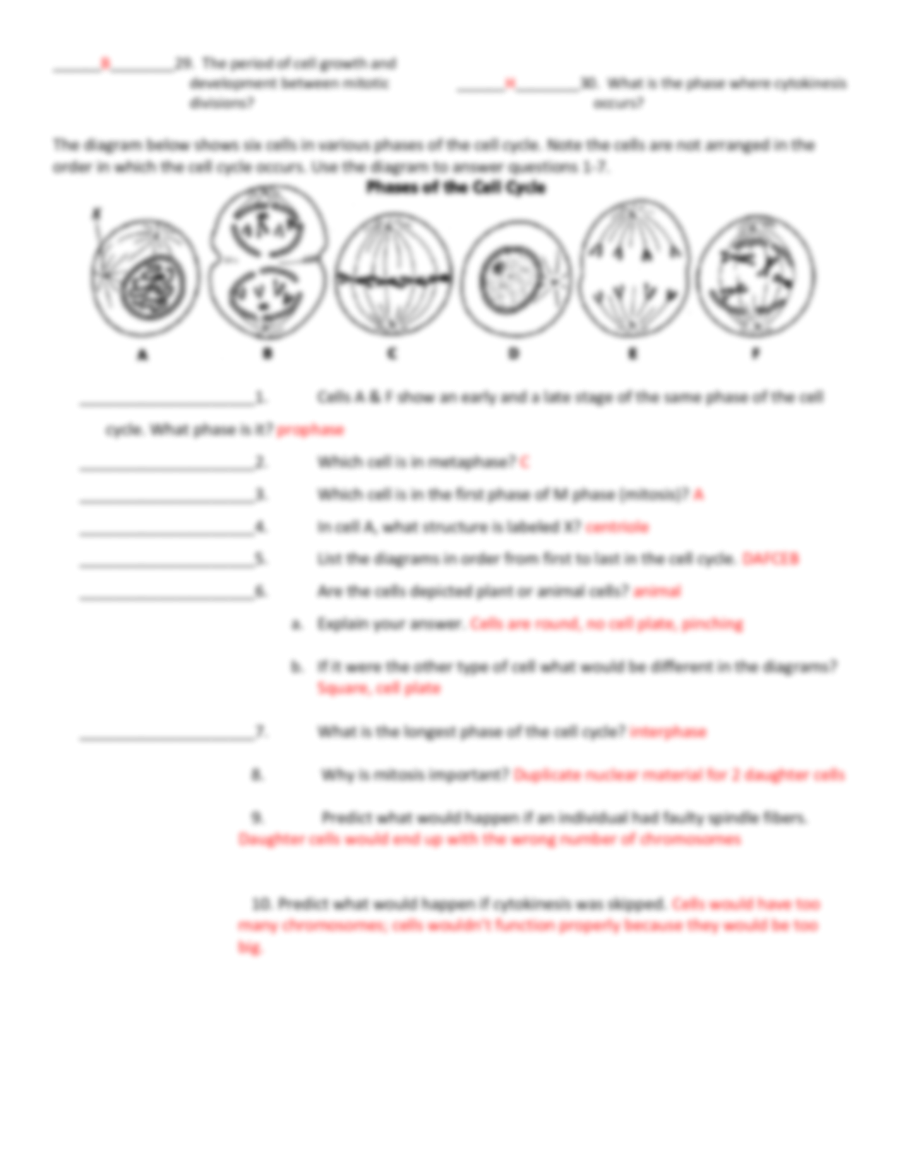 SOLUTION Grade 8 Cell Cycle Worksheet Studypool Worksheets Library SOLUTION Grade 8 Cell Cycle Worksheet Studypool Worksheets Library