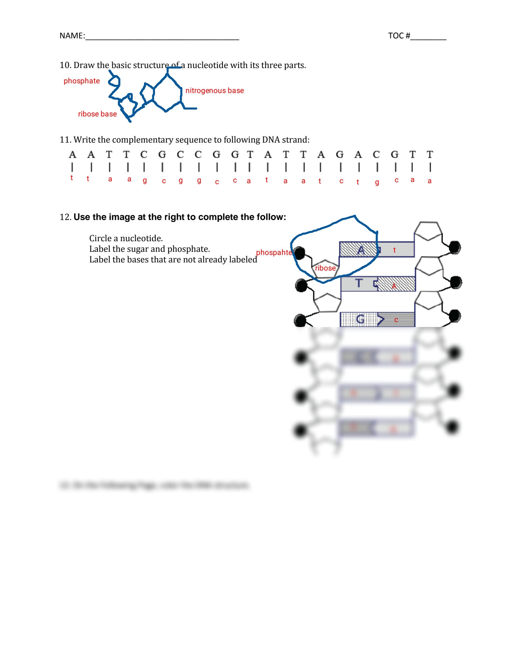 dna structure worksheet answer key pdf dna structure worksheet answer key pdf