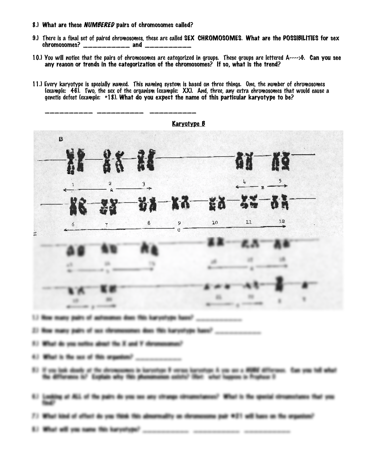 SOLUTION Karyotype Worksheet Studypool Worksheets Library