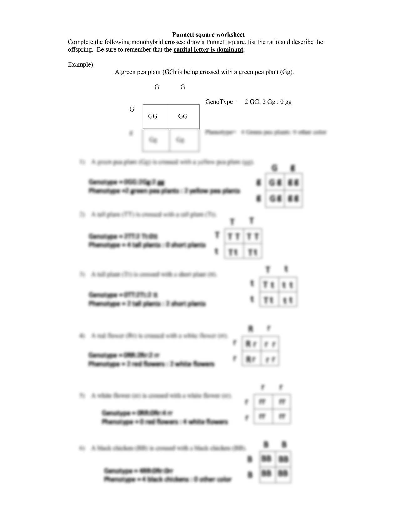 SOLUTION Punnett Square Worksheet 1 Studypool Worksheets Library SOLUTION Punnett Square Worksheet 1 Studypool Worksheets Library
